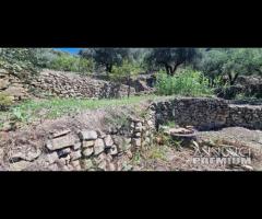 Terreno 10.000mq con rustici a Calatabiano