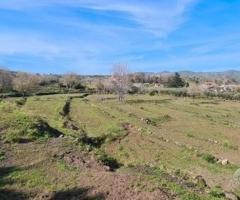 Terreno 15.000 mq a piedimonte etneo - 8