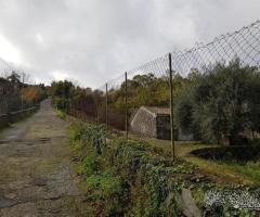 Terreno 5 ettari con fabbricato Piedimonte Etneo - 7