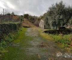 Terreno 5 ettari con fabbricato Piedimonte Etneo - 8