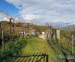 Terreno agricolo a San Gerardo