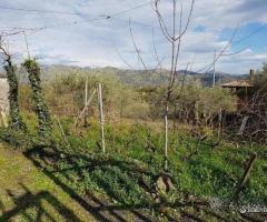 Terreno agricolo a San Gerardo