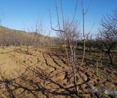 Antica casa padronale con terreno Piedimonte Etneo - 8