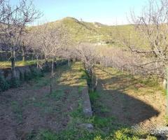 Antica casa padronale con terreno Piedimonte Etneo - 9