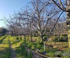 Antica casa padronale con terreno Piedimonte Etneo - 10