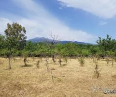 Terreno agricolo pianeggiante a Piedimonte Etneo - 1