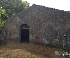 Terreno agricolo pianeggiante a Piedimonte Etneo - 6