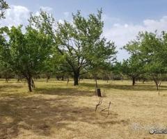 Terreno agricolo pianeggiante a Piedimonte Etneo - 7