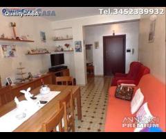 Appartamento QUADRILOCALE Borghetto Monte San Vito