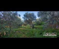 Pianotorre, panoramico terreno con rudere - 16