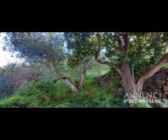 Pianotorre, panoramico terreno con rudere - 18