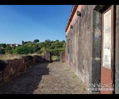 Terreno con fabbricati e palmento a San Gerardo - 15