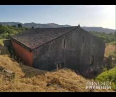 Terreno con fabbricati e palmento a San Gerardo - 16