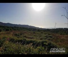 Terreno con fabbricati e palmento a San Gerardo - 17