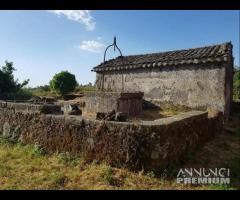 Terreno con fabbricati e palmento a San Gerardo - 19