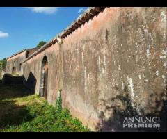 Terreno con fabbricati e palmento a San Gerardo - 20