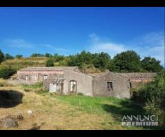 Terreno con fabbricati e palmento a San Gerardo - 23