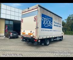 Daf 12.250