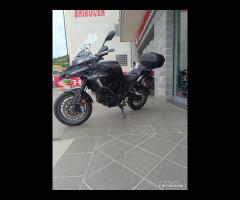 BENELLI TRK 502 2023