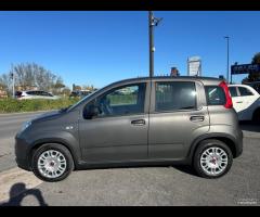 SOLO NOLEGGIO RENT Fiat Panda 1.0 FireFly Hybrid C - 9