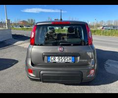 SOLO NOLEGGIO RENT Fiat Panda 1.0 FireFly Hybrid C - 12