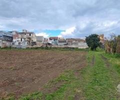 Terreno 15.000 mq con fabbricati a fiumefreddo