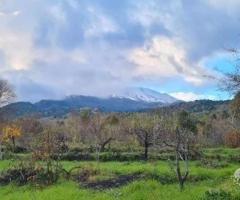 Terreno 10.000 mq con rustici a sant'alfio - 9