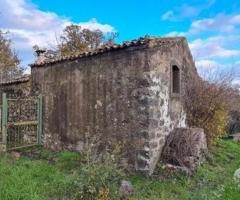 Terreno 10.000 mq con rustici a sant'alfio - 13