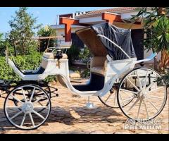 Carrozza Cavalli Bianca - 6