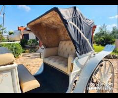 Carrozza Cavalli Bianca - 10