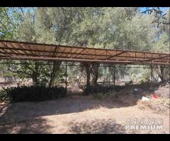 Villa zona Poseidon + terreno 1300mq rif.196/24