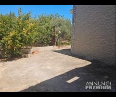 Villa zona Poseidon + terreno 1300mq rif.196/24 - 16