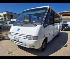 Iveco Altro Cacciamali Bus