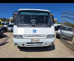 Iveco Altro Cacciamali Bus - 7