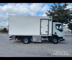 Daf lf 115 q cella frigo piastre rrc 2025