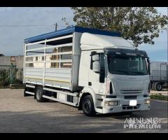 Eurocargo 120e22 e5 centinato 6.60 2008