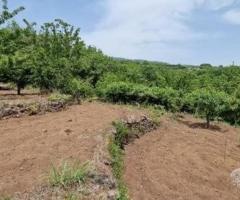 Terreno agricolo 6.700 mq con rustico a mascali - 14