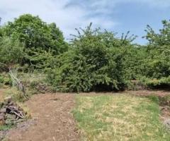 Terreno agricolo 6.700 mq con rustico a mascali - 16