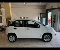 Fiat Panda 900 Twin Air Natural Power Metano 85 cv - 3