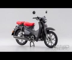 Honda Super Cub 125 2024 Biposto