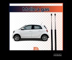 2 MollE Gas Portellone Smart ForFour 2014 - 1