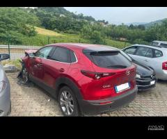 Mazda CX-30 2.0L Skyactiv-G M-Hybrid 2WD Exceed