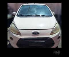 Ricambi Ford Ka 1.3 Benzina 2010 169A4000