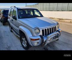 Ricambi Jeep Cherokee 2001 2.5 TD 99B - 3