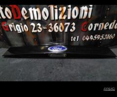 Maniglia esterna portellone posteriore ford b-max - 2