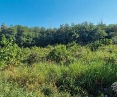 2 lotti di terreno a marina di cottone fiumefreddo