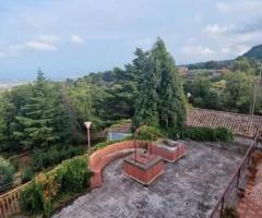 Casa indipendente con 20.000 mq di terreno - 24