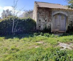 Rurale con terreno agricolo