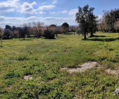 Rurale con terreno agricolo