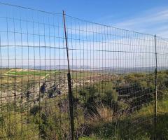 Terreno agricolo alberato di 3500 mq